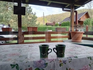 Cabană + teren generos, 60 mp utili, 30 km de Deva - Boz - imagine 10