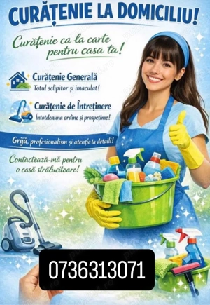 Menaj.servici de curatenie