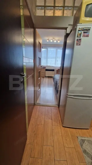 Garsoniera de vanzare, 22 mp, renovata, mobilata, zona Noua - imagine 6