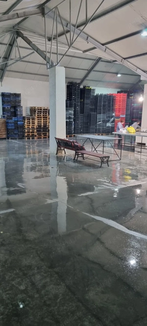 Hală 300mp+Depozit frigorific  - imagine 5