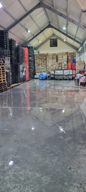 Hală 300mp+Depozit frigorific  - imagine 4