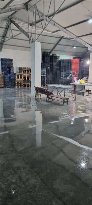 Hală 300mp+Depozit frigorific  - imagine 3