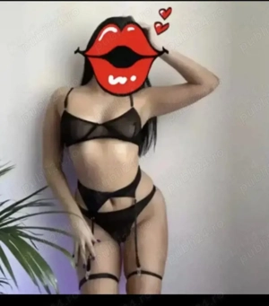 Noua in domeniu doar 2 zile 