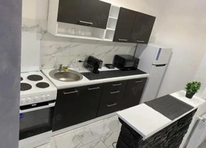 Regim Hotelier Non stop - imagine 3