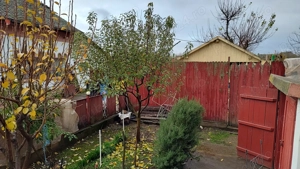 Vand casa locuibila alcatuita din 2 corpuri si cu teren de 1500 mp in sat Basarabi, jud Dolj - imagine 5