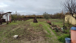 Vand casa locuibila alcatuita din 2 corpuri si cu teren de 1500 mp in sat Basarabi, jud Dolj - imagine 4