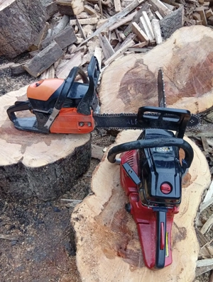 Drujbe de vînzare sau schimb cu capre - imagine 3