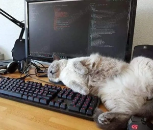 Meditații programare pentru copii   Scratch,Roblox, Python, Java