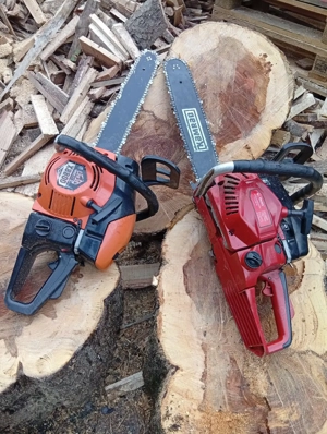 Drujbe de vînzare sau schimb cu capre - imagine 2