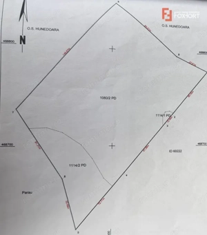 OPORTUNITATE - Teren extravilan - padure, 20.720 mp in Cincis - imagine 2