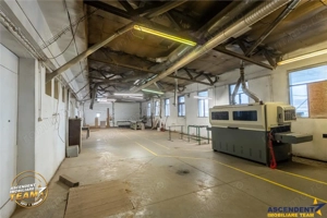 Complex industrial modern,acces dublu, potential apreciabil,Valea Cri #537;ului,Sf #226;ntu Gheorghe - imagine 6