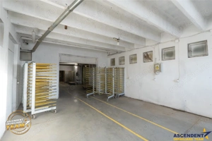 Complex industrial modern,acces dublu, potential apreciabil,Valea Cri #537;ului,Sf #226;ntu Gheorghe - imagine 14