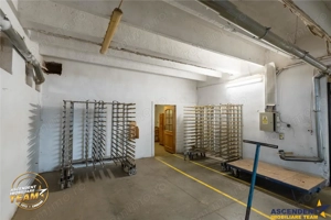 Complex industrial modern,acces dublu, potential apreciabil,Valea Cri #537;ului,Sf #226;ntu Gheorghe - imagine 12