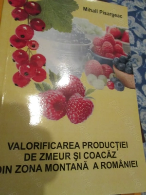 2009 Valorificarea productiei de zmeur si coacaz