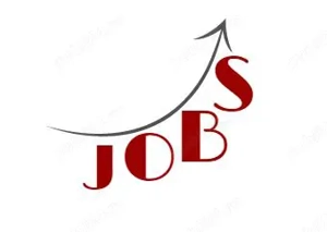 Menajera cu experienta   Kiseleff   Arcul de Triumf - imagine 2