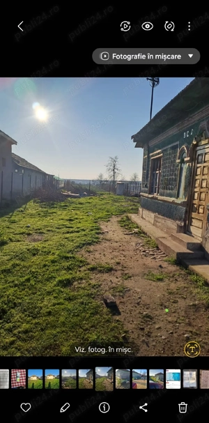 casă de vânzare bătrânească Vadu-Pasii ciocârlia 3200mp str principală nr 69 