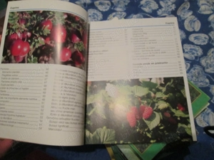 2014  Arbustii fructiferi - imagine 4