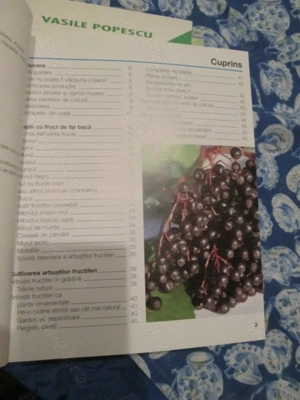2014  Arbustii fructiferi - imagine 3