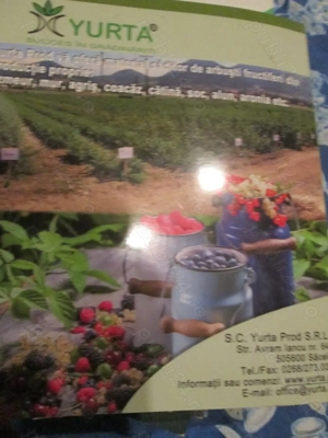 2014  Arbustii fructiferi - imagine 2