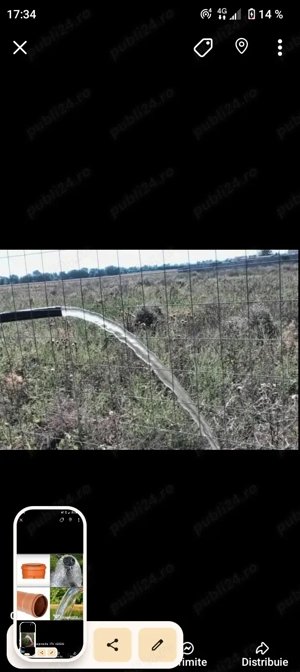 Foraje puțuri apă și denisipări  - imagine 4