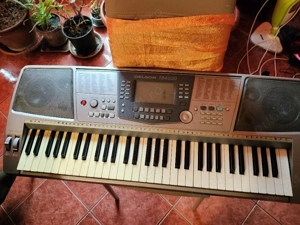 orga Delson si Roland - imagine 5