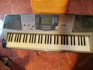 orga Delson si Roland - imagine 3