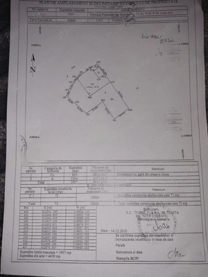 De închiriat teren 2000mp Călărași  Dorobanțu  - imagine 2