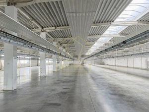Hala industriala 4.000mp | Sagului | Timisoara