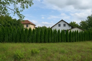 Vand Firma fara datorii neplatitoare TVA