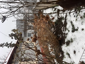 Vand casa in Medgidia 