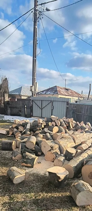   avem lemn de foc    - imagine 2