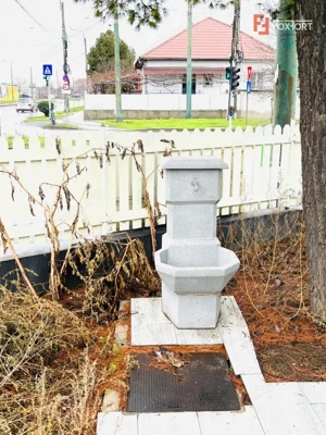 Spatiu comercial si terasa cu casa de locuit - zona Dambovita - imagine 6