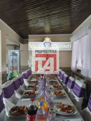 PENSIUNE DE VANZARE – VRAJA CRASNEI ÎN ZONA CAREI - imagine 8