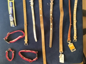 Vând zgărzi și lese pentru câini