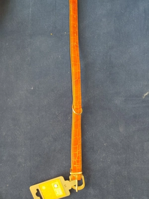 Vând zgărzi și lese pentru câini - imagine 3