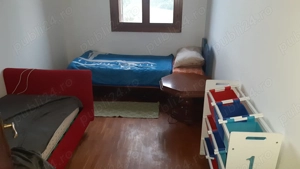 Colegă apartament 