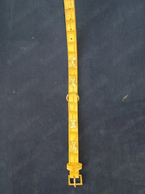 Vând zgărzi și lese pentru câini - imagine 2