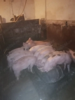 De vanzare - imagine 3