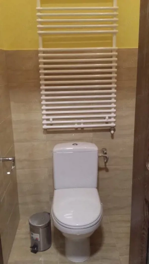 Casa 4 camere, 160 mp, zona 1 Mai - Calea Unirii - imagine 12