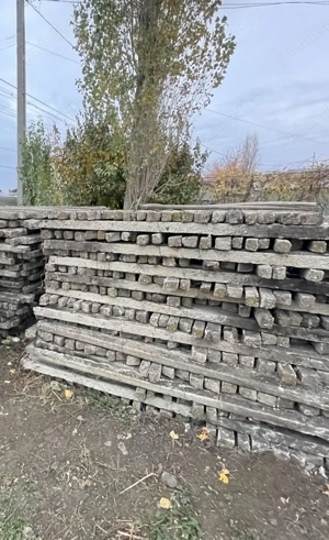 spalieri pentru vie si gard  - imagine 2