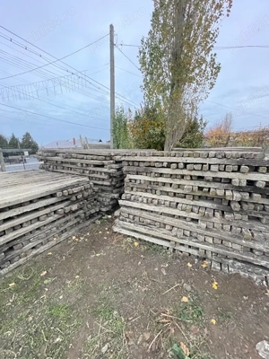 spalieri pentru vie sau gard rezistenți 