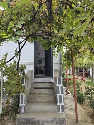 Casă deosebită renovată recent, teren 3698 mp - imagine 3