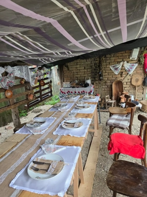 Casă deosebită renovată recent, teren 3698 mp - imagine 10