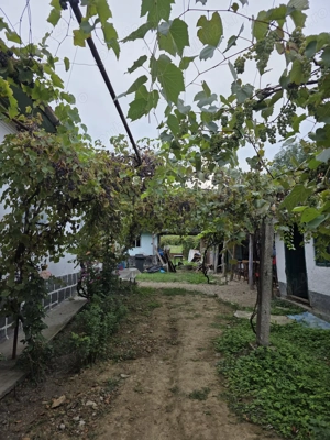 Casă deosebită renovată recent, teren 3698 mp - imagine 4