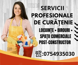 Servicii Profesionale de Curățenie   Locuințe, Birouri și Post-Constructor