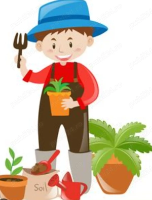 Întreținere spatii verzi