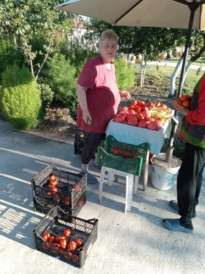 vand teren arabil extravilan in Butimanu