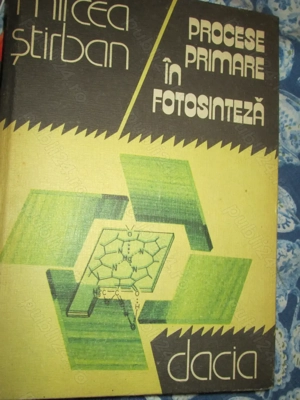 1981 Procese primare in fotosinteza