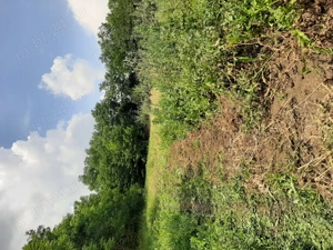 Teren intravilan de vanzare - imagine 5