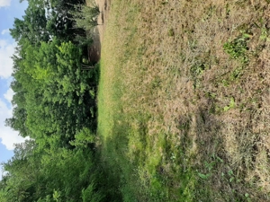 Teren intravilan de vanzare - imagine 2